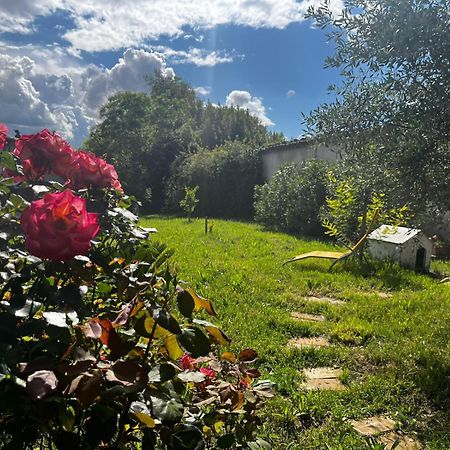 Gite De L'Olivier Nyons Extérieur photo
